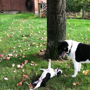 Meet your Posher, Marlene